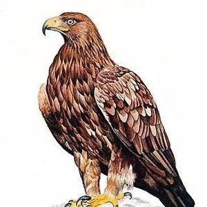 Meet your Posher, Denis